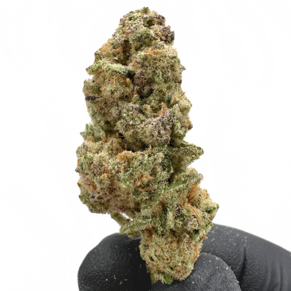 Exotic Indoor Flower - LCG Bx1 (Hybrid)