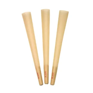 Paper Cones (3 per pack)